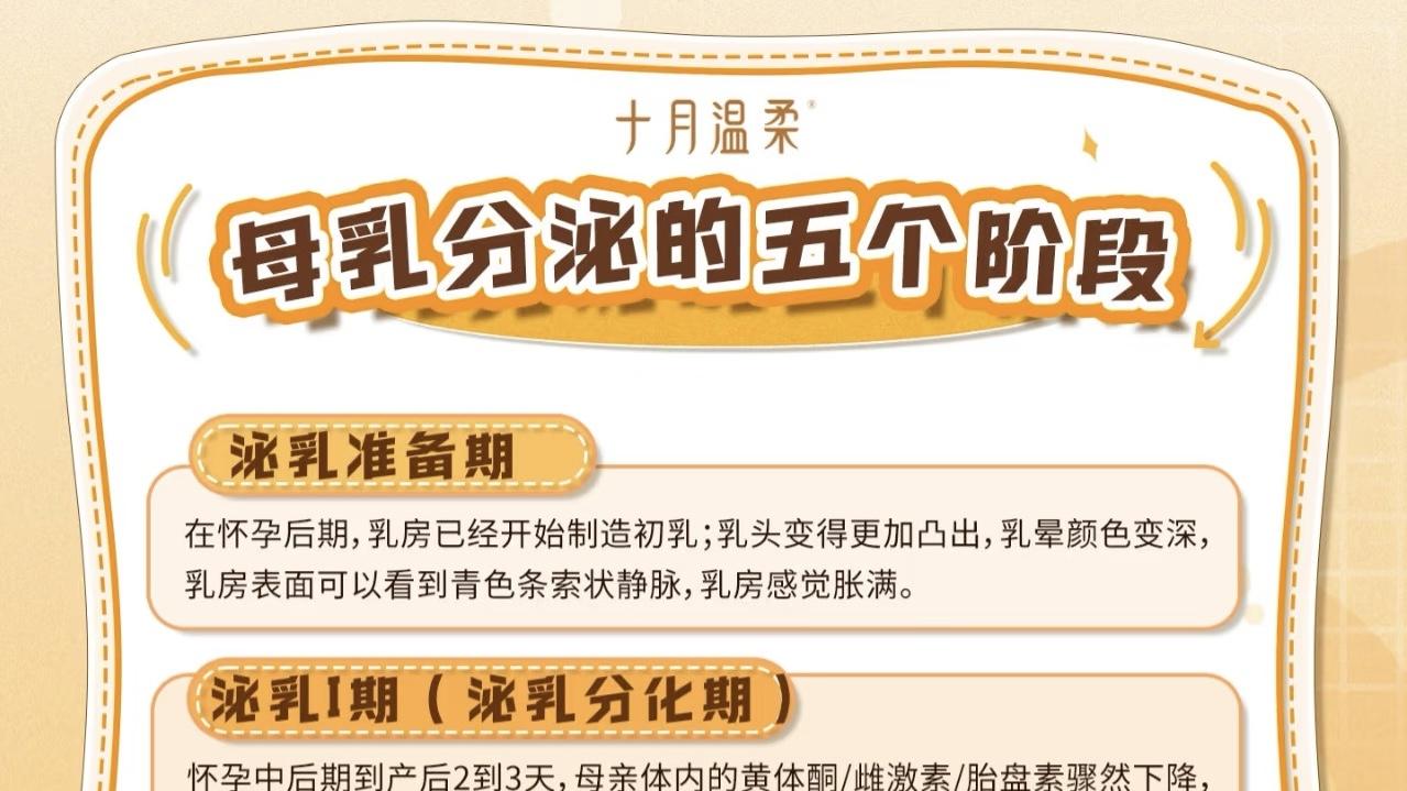 揭秘妈妈的“魔法餐盘”：乳汁从何而来，何时开始流淌？