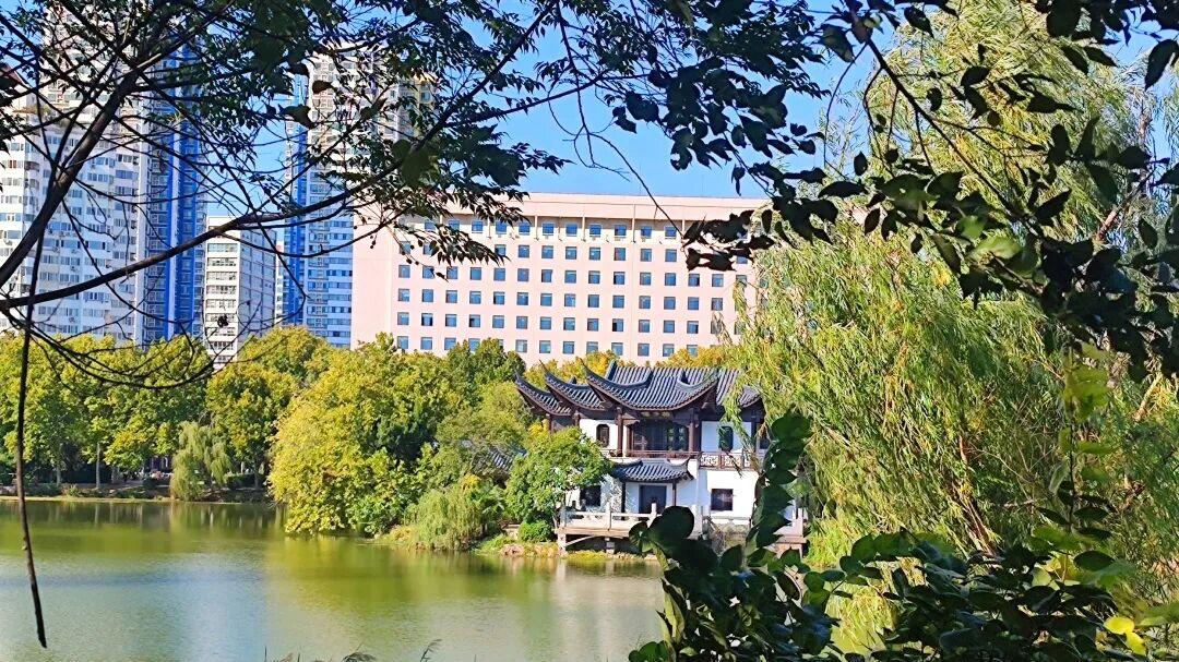 云龙公园春色好，绿肺含韵润彭城