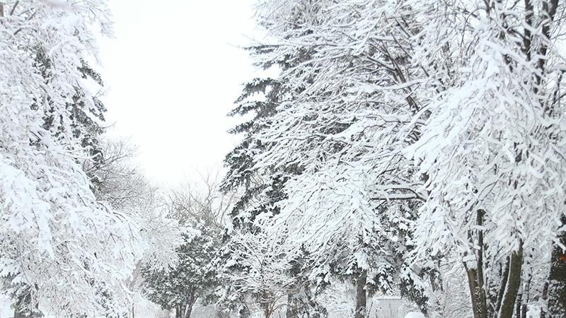 10条修行法则，做得越好人生越顺
