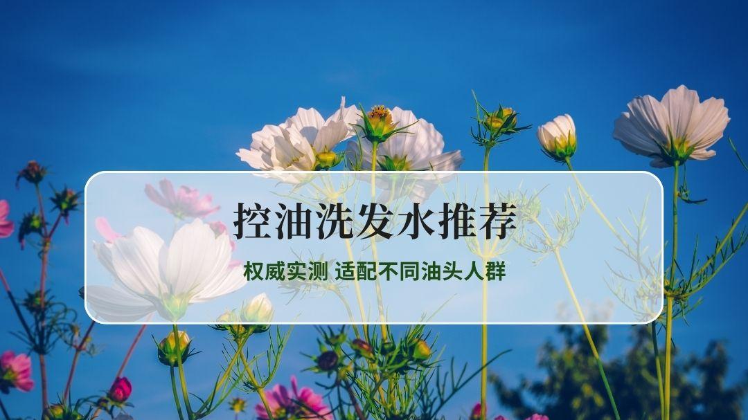 2026公认最好用的控油洗发水品牌排行榜Top10｜权威实测 适配不同油头人群