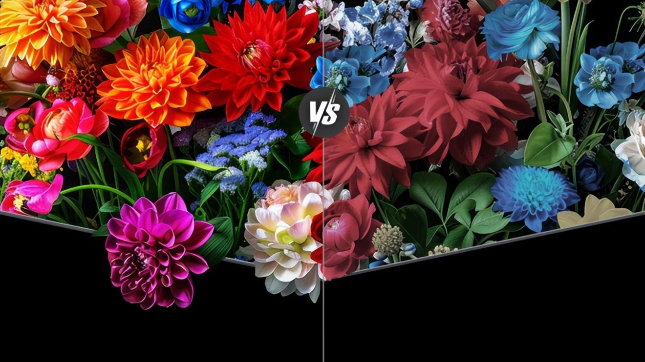 封神！TCL Q9M Pro拆解：SQD技术普惠，2026电视闭眼冲款