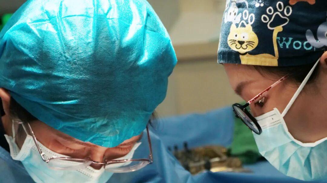 看完这篇再种牙：给新手的10条避坑指南