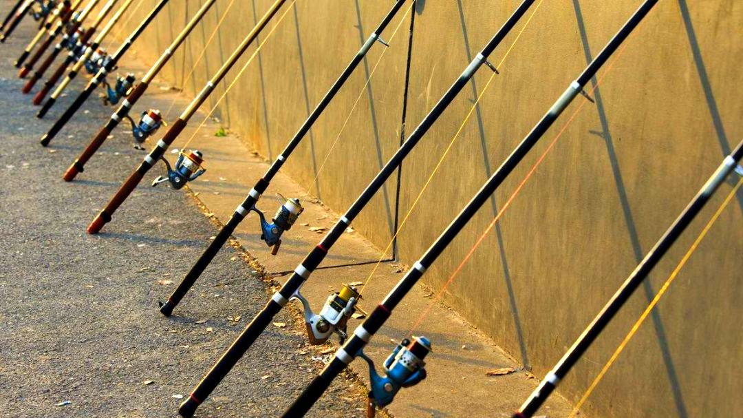 钓鱼新规下，“鱼竿阵”钓法彻底过时！想多上鱼？一根竿就够了