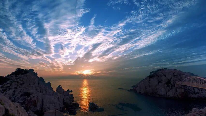 今年是家电实体店的破冰元年