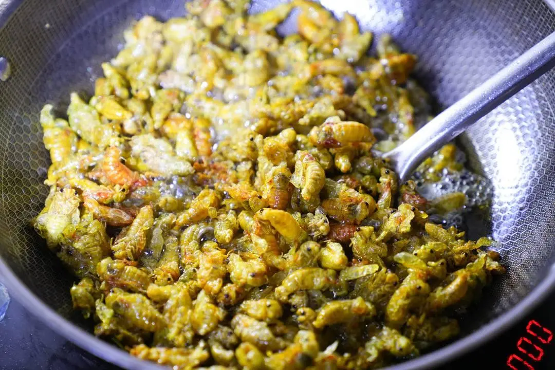 会东金蝉：凉山松林里的生态特产，舌尖上的夏日限定