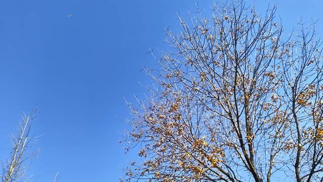 容易挫伤青春期孩子自驱力行为，第二唠叨，第三批评，第一被忽略