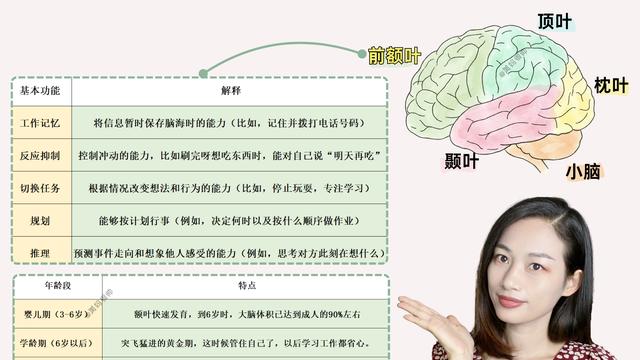 6岁前做对8件小事，锻炼大脑前额叶，帮娃打造“学霸脑”