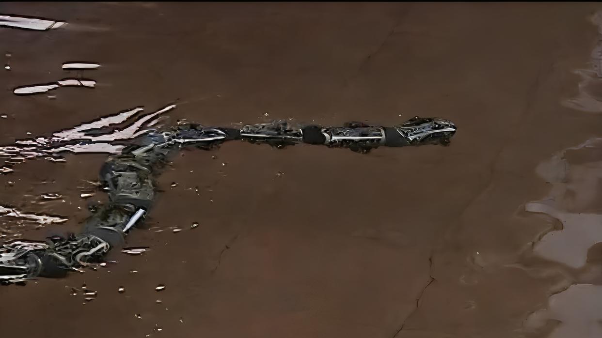 2011年，辽宁一男子发明了一款蛇形机器人，可以在各种地形上作业