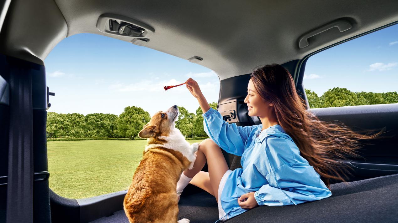 有一说一，50万内的平民超跑我只认飞度