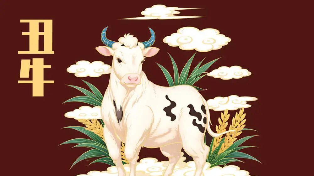 善韵缘|夫妻中有这个生肖，日子越过越富有、越恩爱