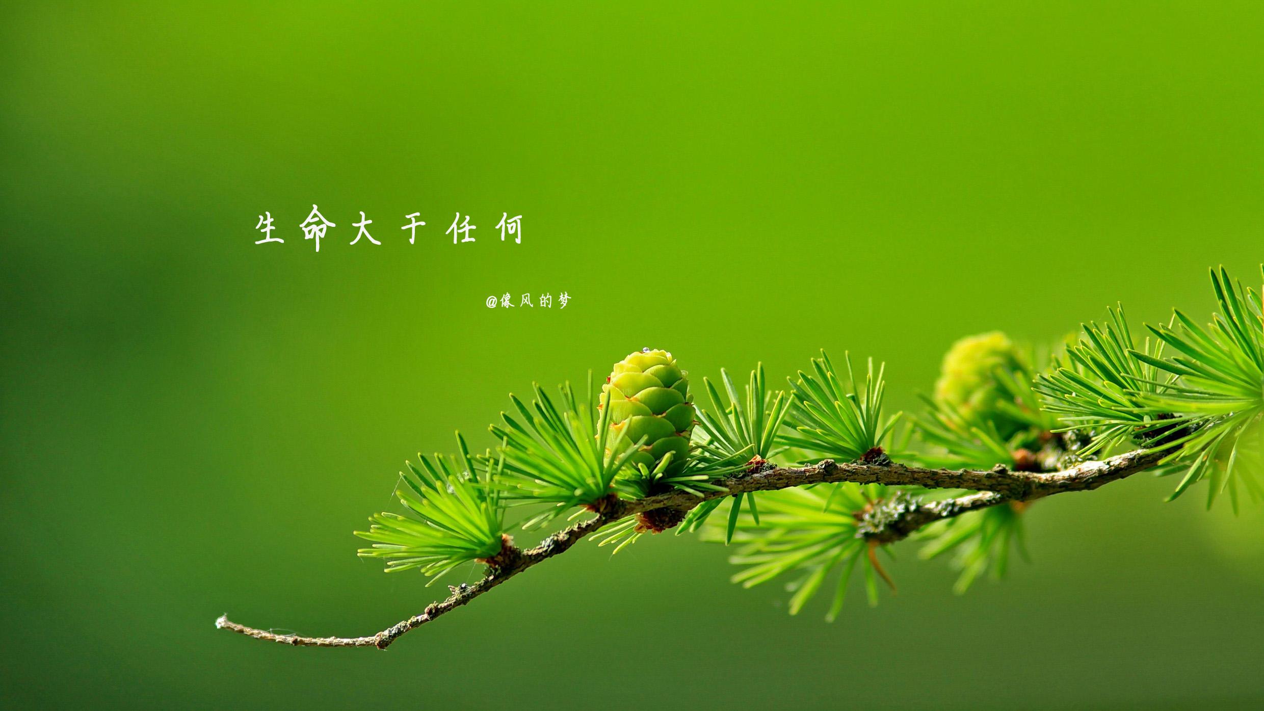 生命减法，活一天老一天少一天，生命加法，活一天乐一天赚一天