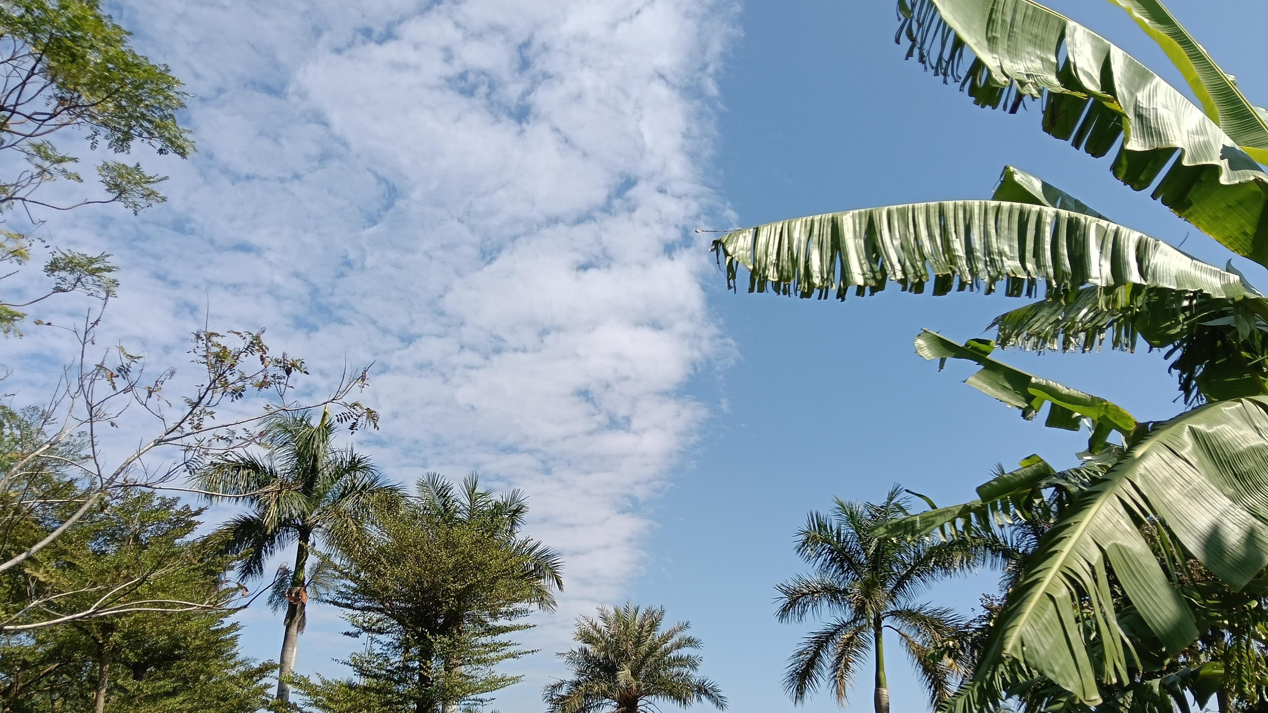 怎样识别网上的骗子？