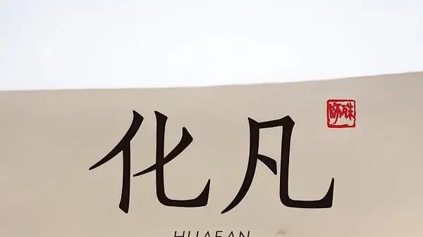 《化凡》（49集）市井烟火与破局逆袭直戳痛点