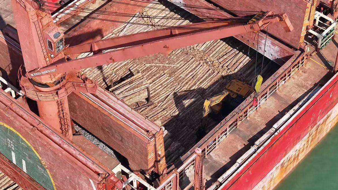 国内木材进口：近十年内首次跌破6000万