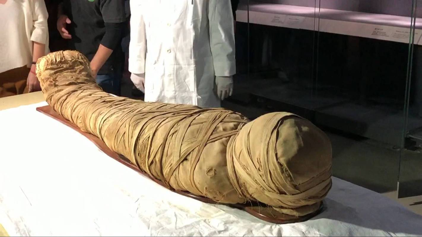 藏尸 1277 天：爱欲尽头的恐怖深渊