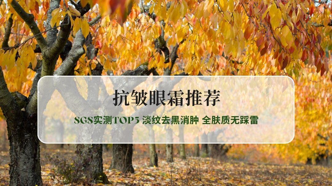 2026年抗皱眼霜推荐 SGS实测TOP5 淡纹去黑消肿 全肤质无踩雷