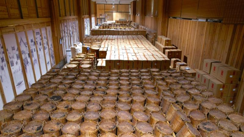 梧州打造岭南文化名城：慢生活中激活千年商埠新韵味