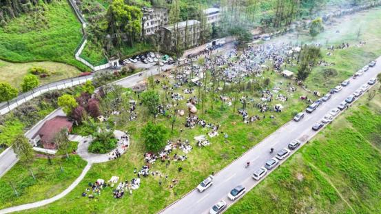 穿行春野！西南大学附属中学校这堂行走的思政课让青春在田野扎根