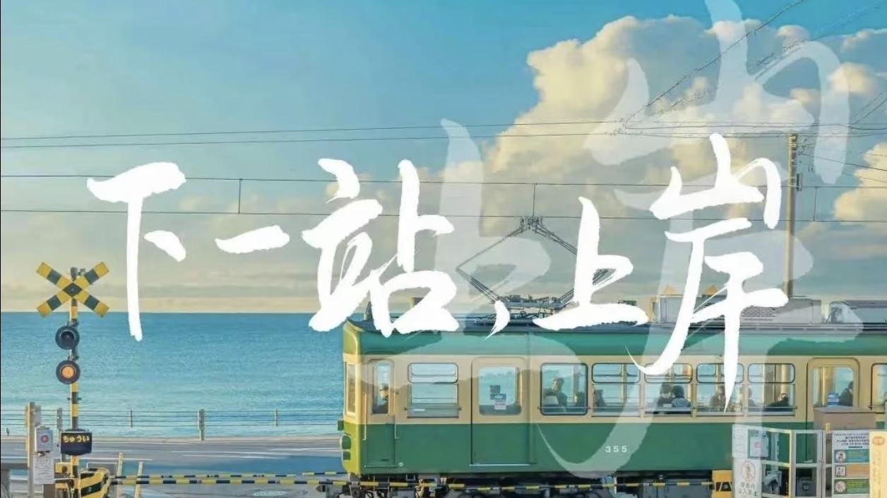 自考学位证申请条件对比：各高校外语要求差异分析