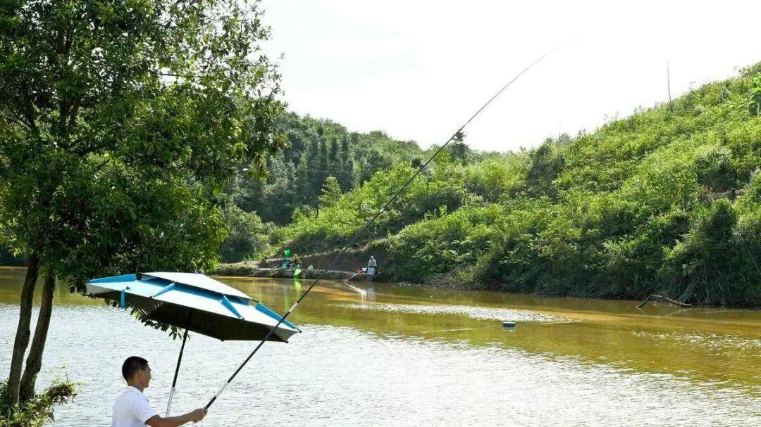 野塘称王，野河空军？不是鱼太精，是你还没从“幼儿园”毕业！