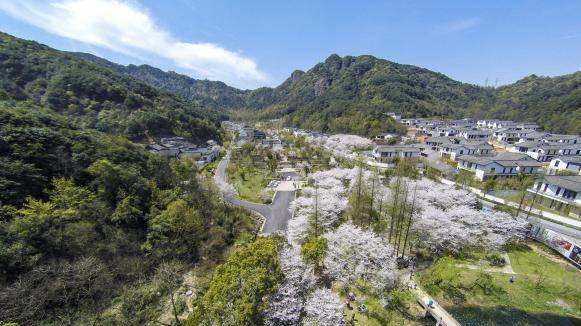 清明踏春｜会稽山阴赴一场东方诗意之约