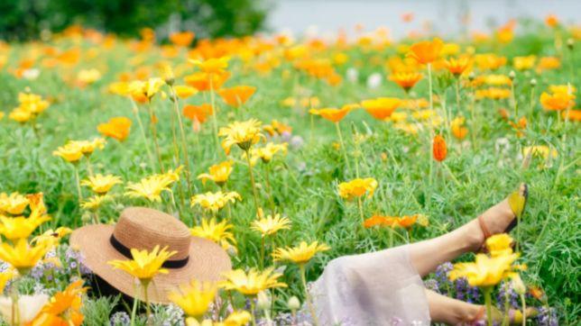 川西自驾：俄么塘，藏在高原的花海秘境