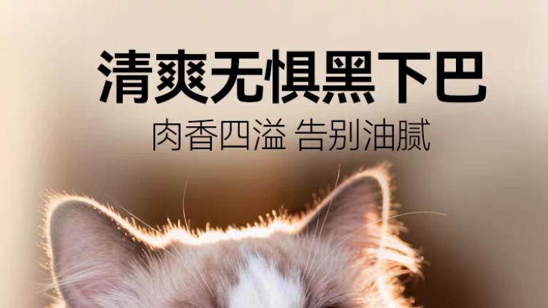 2026十大热销猫粮品牌！哪个牌子好值得推荐