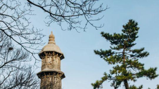 一峰藏三绝：昆石、琼花、并蒂莲的玉峰山传奇