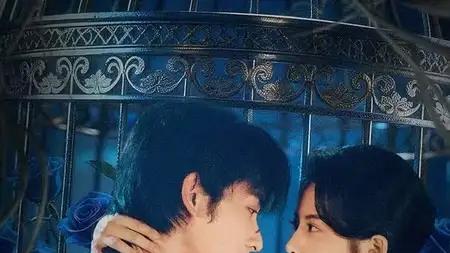 《以身为饵》全员疯批，高能反转与极致拉扯的致命游戏