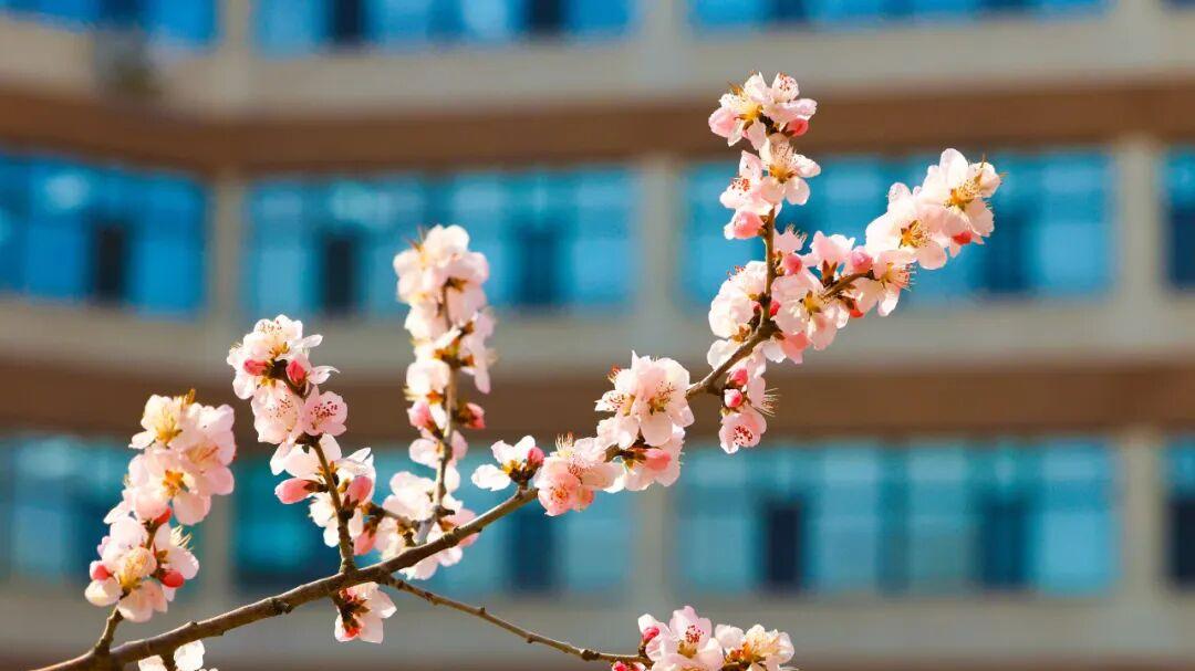 吉林大学王牌专业怎么样？数据治理时代，这个专业为国家“立规矩”