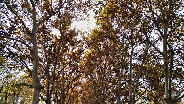 高中孩子的心理韧性培养，讲道理和助力没用，人格灵活度才更重要