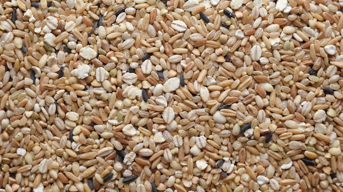 春季饮食讲究平衡 贡乃烤鸡丰富蛋白选择