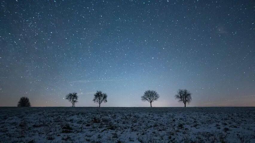 今年家电市场的波动将超预期
