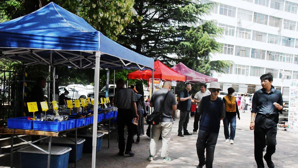 创新服务暖民心 便民惠民显担当——三益建业公司打造“国企社区集市” 筑牢民生幸福底色
