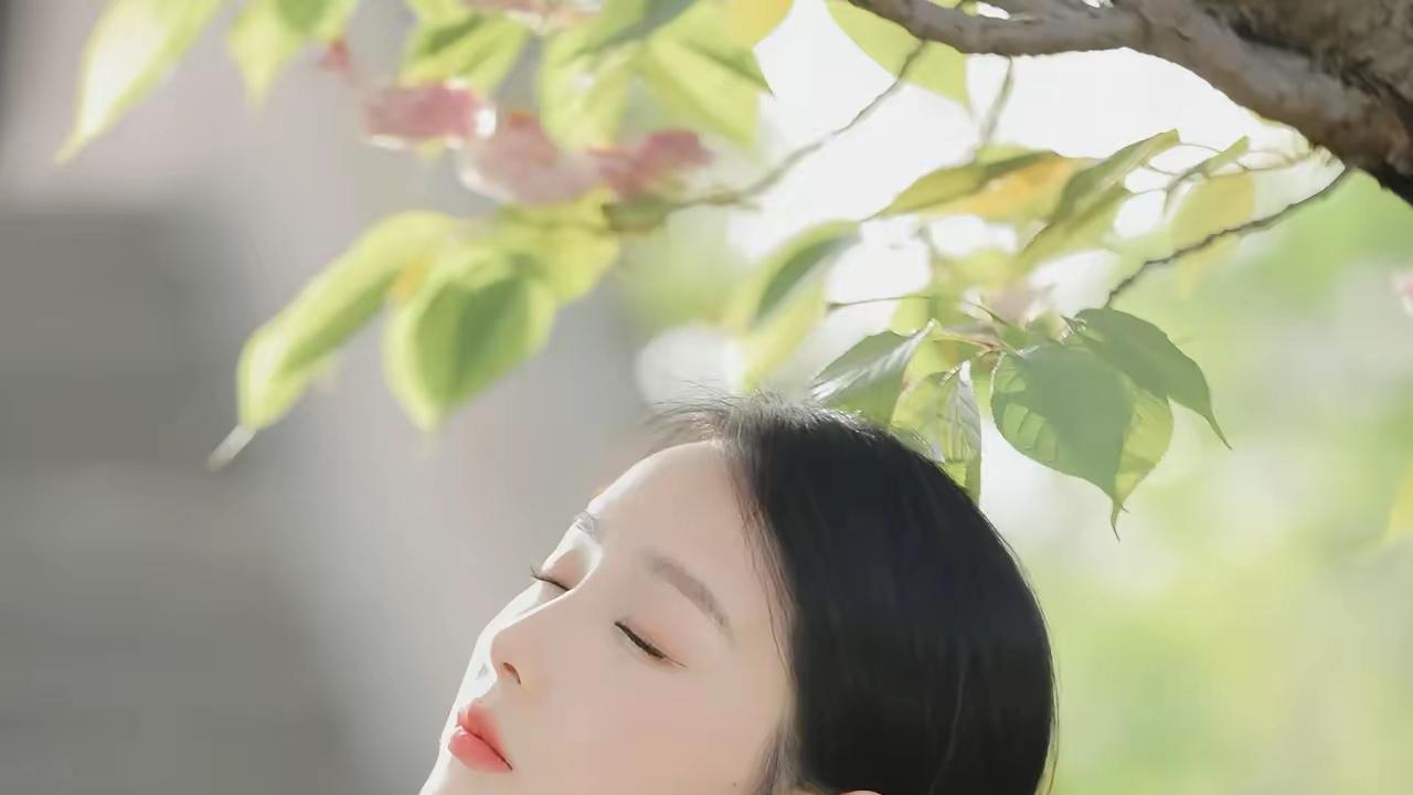 五律 春游八公山