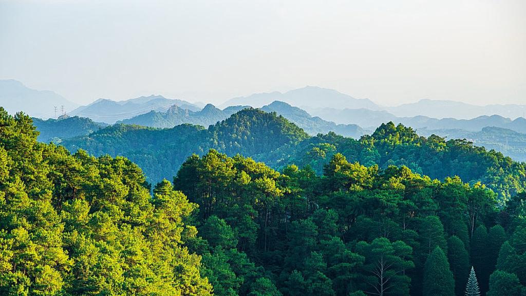 情绪经济不是小题大做，而是中国新出口能力