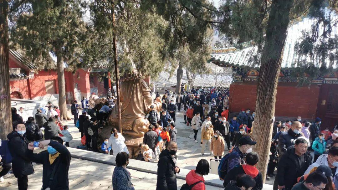 寺庙终于要“刮骨疗毒”了