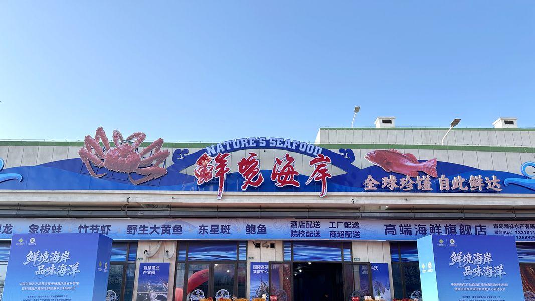 节日海鲜供应再添保障！西海岸高端活鲜集散中心启动