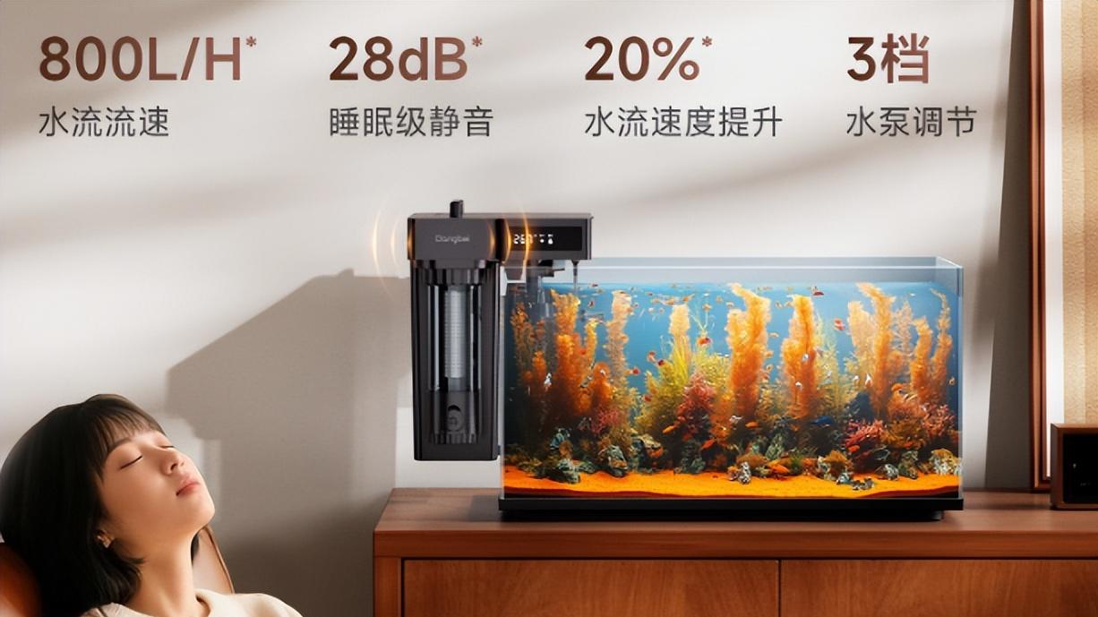 当贝过滤器怎么样？对比安彩EX650看N1 800AI的降维打击