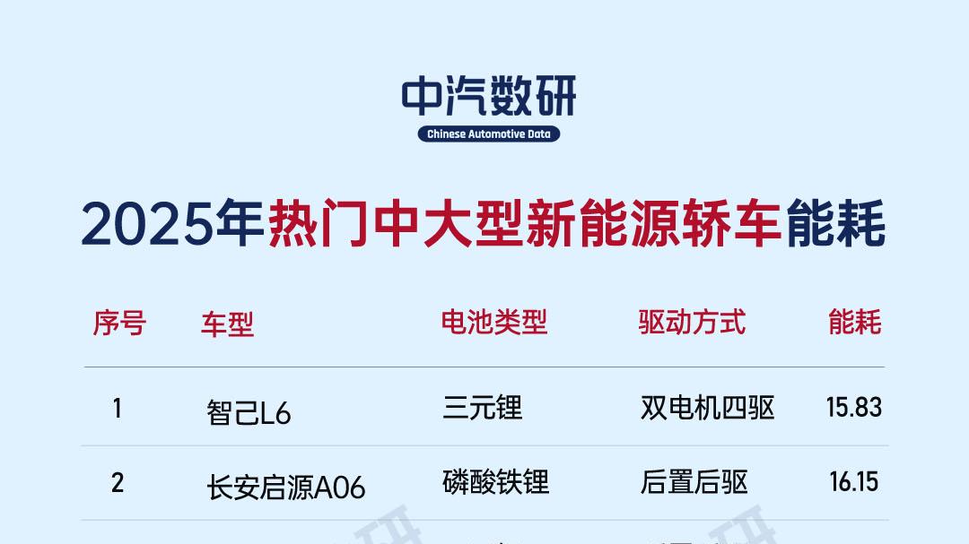 2025年热门中大型新能源汽车能耗榜