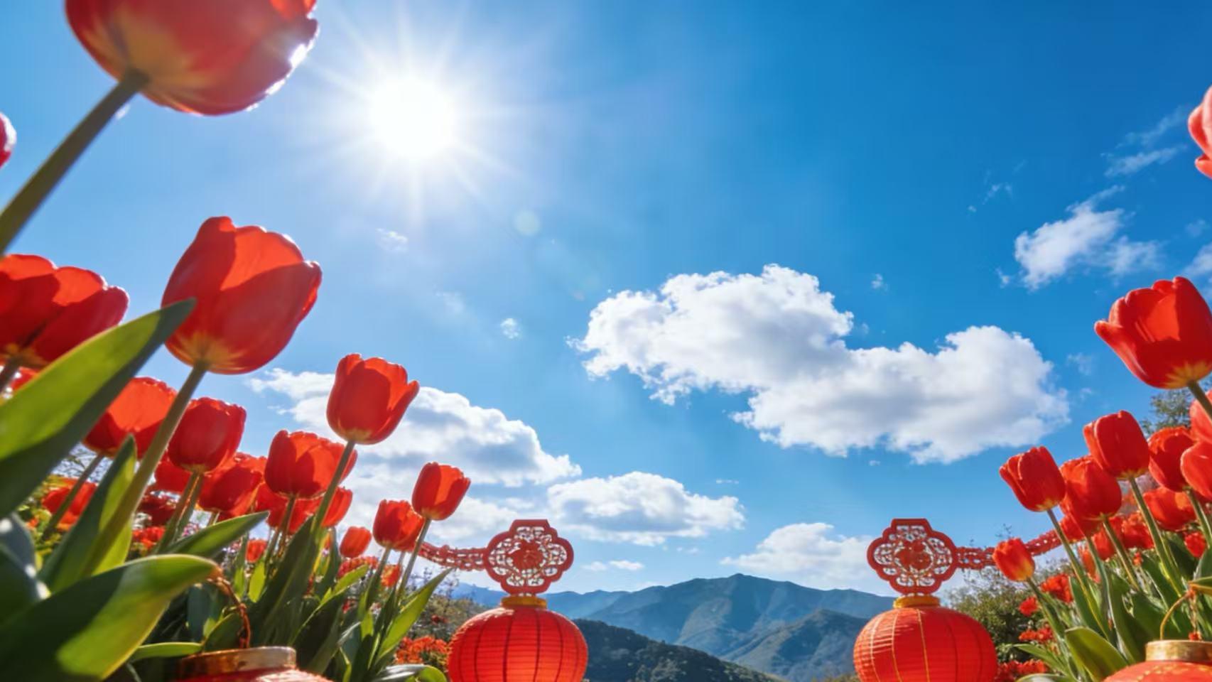 非在编就无公平？疫情表彰护士合规取证职称聘任遭拒还遇多部门推诿