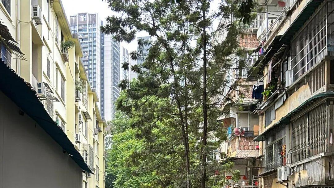 电梯房住了3年，天天后悔！恨不得立马搬回以前的老步梯房！