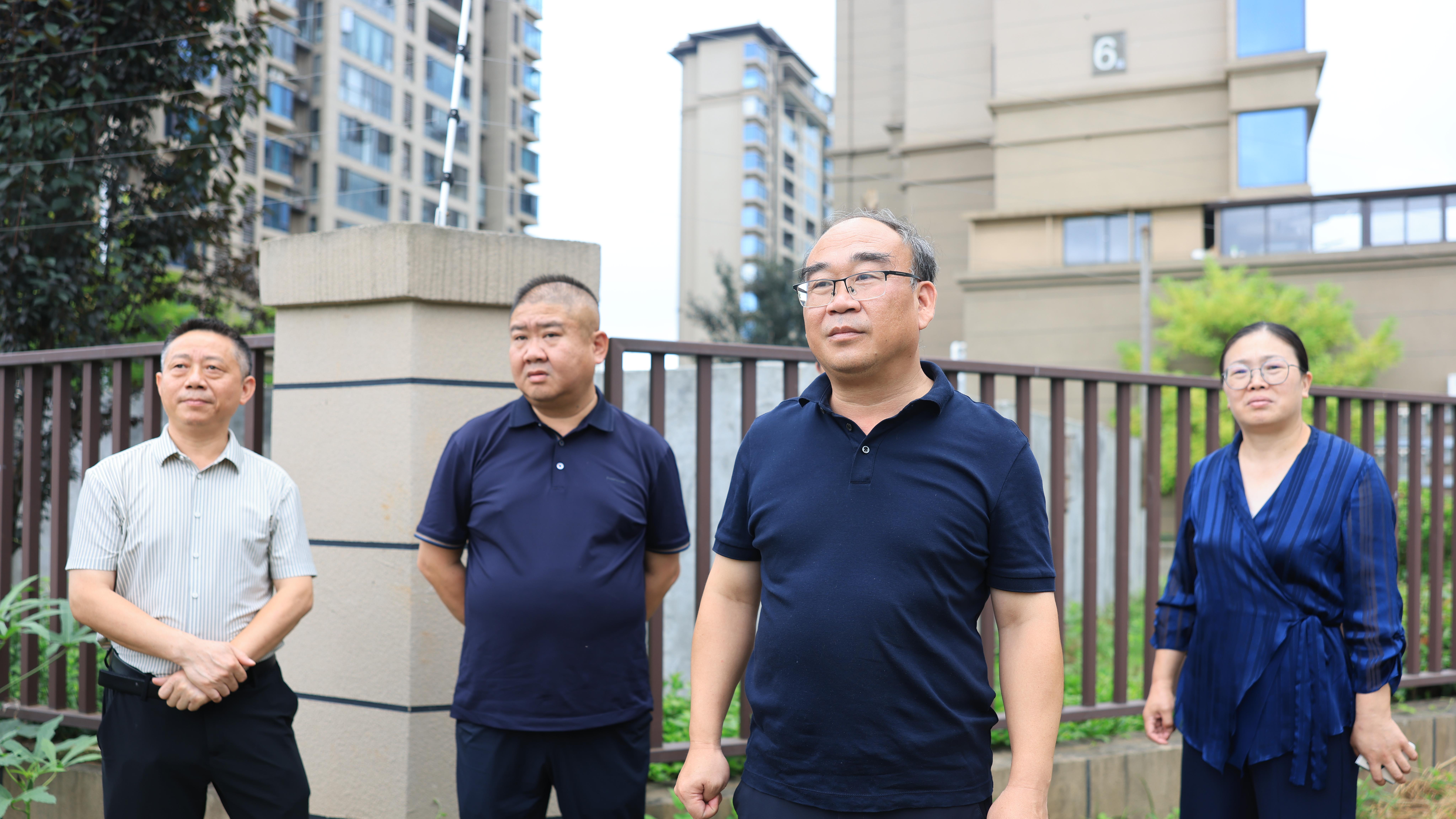 阳新新闻：杨波调研生态环境突出问题整改工作