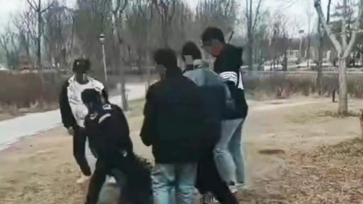 九名少年围殴抢劫12岁学生，法律怎么就“管不了”？