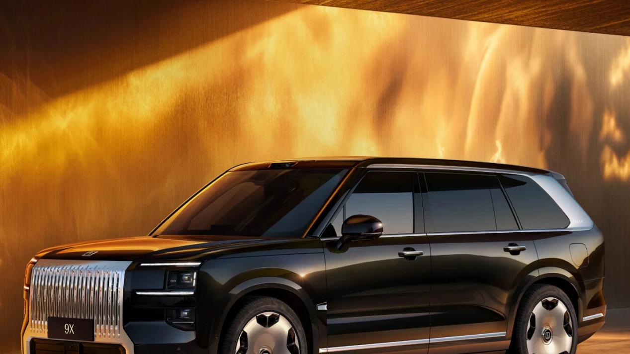 极氪9X车主收到了吗