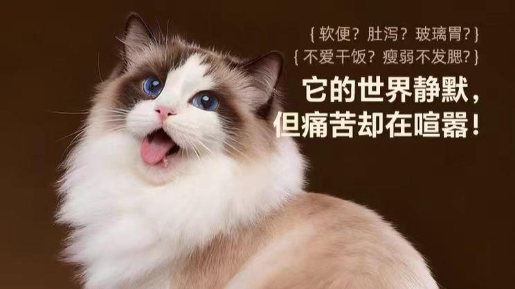 猫咪掉毛吃什么猫粮？2026十大防掉毛猫粮排名推荐