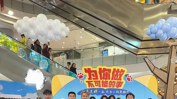 美的携手吴克群奔赴一场生命之约：让守护流浪动物的“英雄”不再孤单