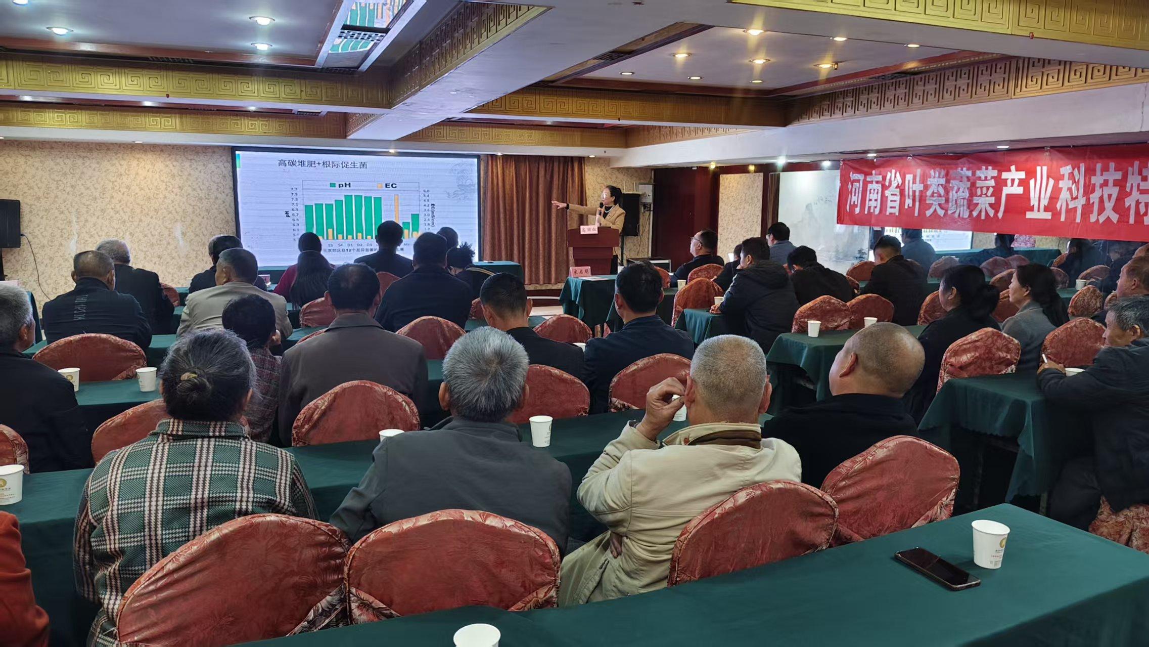 汝南县举办高效优质蔬菜高效生产技术培训会