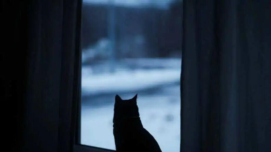 六十七十年代可以养五六个孩子，而现在养两个孩子都几乎养不活？