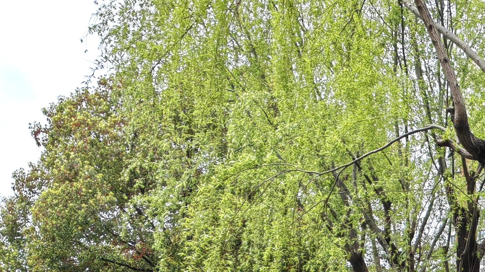 求职难在哪：嘴上说随便，心里都拒绝